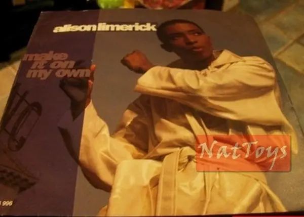 7" 45 GIRI Alison Limerick MAKE IT ON MY OWN (Germany 1992, ARISTA 114 996) NM/NM