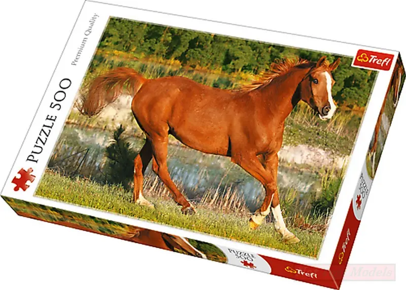 TRF37184 Allegro Galoppo - THE BEAUTY OF GALLOP PUZZLE Pz.500